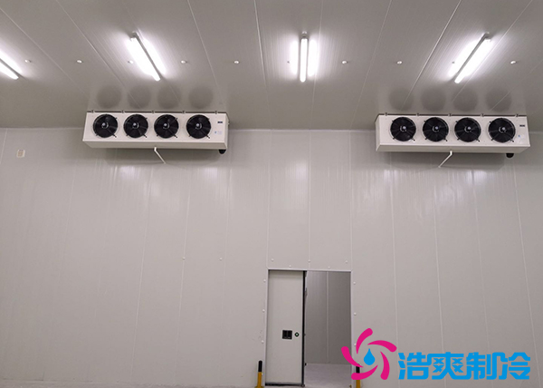 建造一個(gè)冰淇淋冷庫造價(jià)需要多少錢？