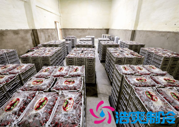 果蔬保鮮冷庫安裝造價需要多少錢？_浩爽制冷