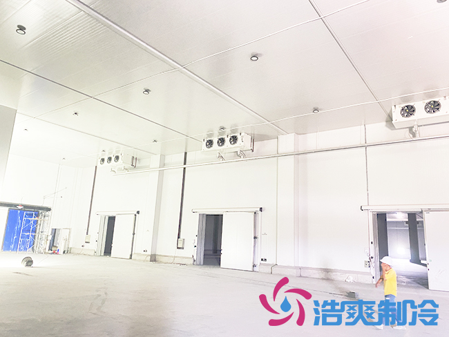 海南建造一個(gè)冷庫(kù)需要多少錢？_浩爽制冷