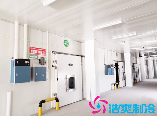 農(nóng)產(chǎn)品批發(fā)市場建造700立方保鮮冷庫全套制冷設備報價多少錢？-浩爽制冷