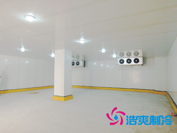佛山冰淇淋冷庫價格多少錢？-浩爽制冷