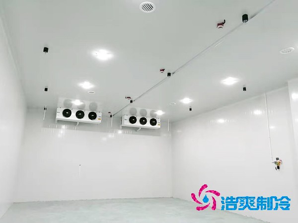 水果催熟冷庫安裝造價
