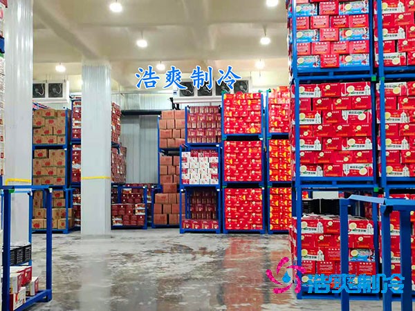 保鮮冷庫造價概覽，果蔬保鮮庫費用解析