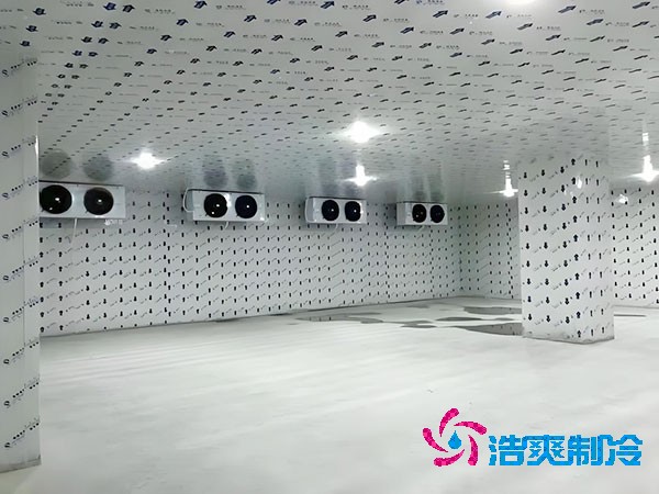 江蘇地區100平米低溫冷庫造價預算解析-浩爽制冷