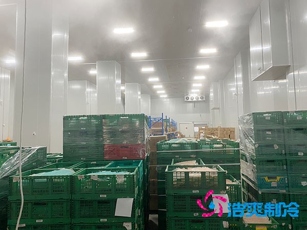 夏季蔬菜保鮮難？500噸冷庫建造價格揭秘！