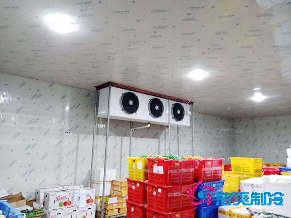 水果冷庫造價